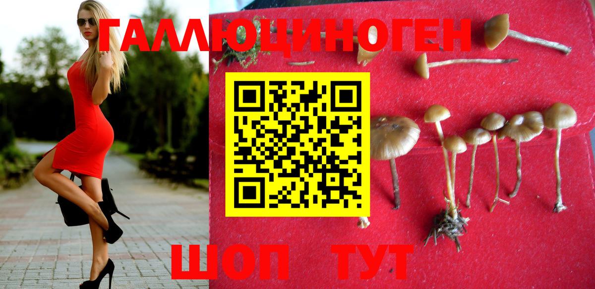Псилоцибиновые грибы мицелий  Вход с VPN  наркотики  Коряжма 