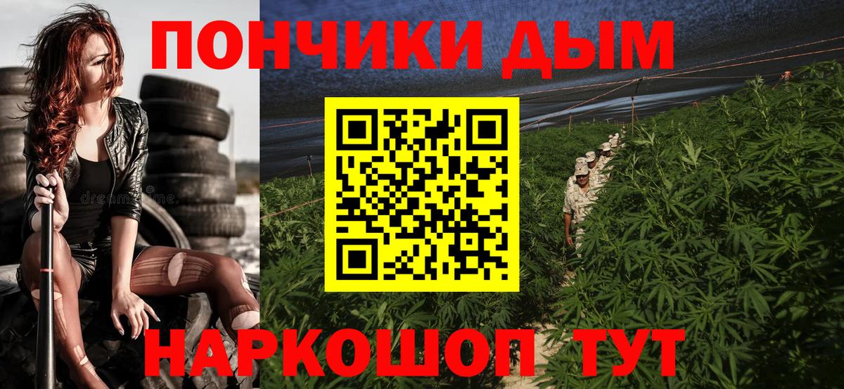 Коряжма  Бошки марихуана марихуана  Шишки марихуана планчик  Вход с VPN 